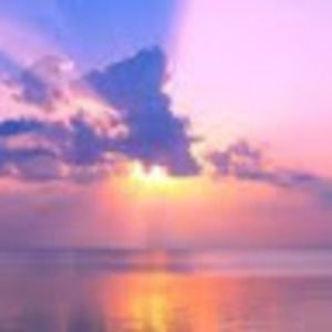 Meet your Posher, Skye